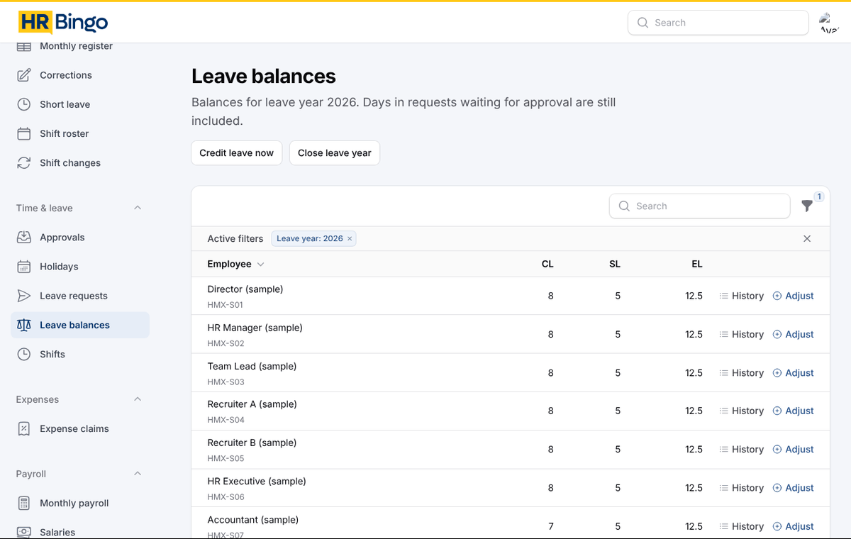 Leave balances in HR Bingo for each employee and leave type